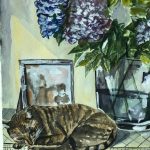 Hydrangeas and sleeping cat